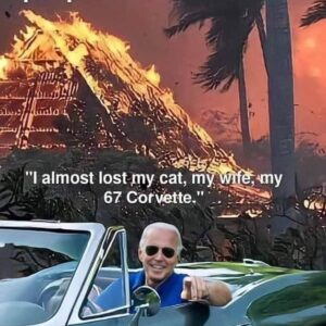 Amidst the Flames: Reflections on Maui&#8217;s Fires and Unusual Remarks