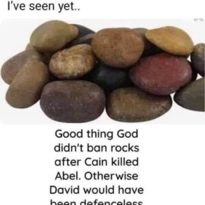 The Rock&#8217;s Role in David&#8217;s Triumph