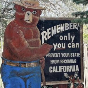 Don&#8217;t Let Your State Turn Into California: A Warning