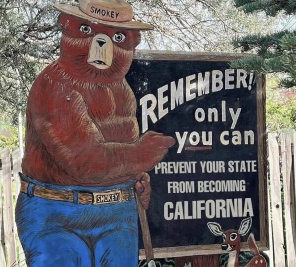 Don&#8217;t Let Your State Turn Into California: A Warning